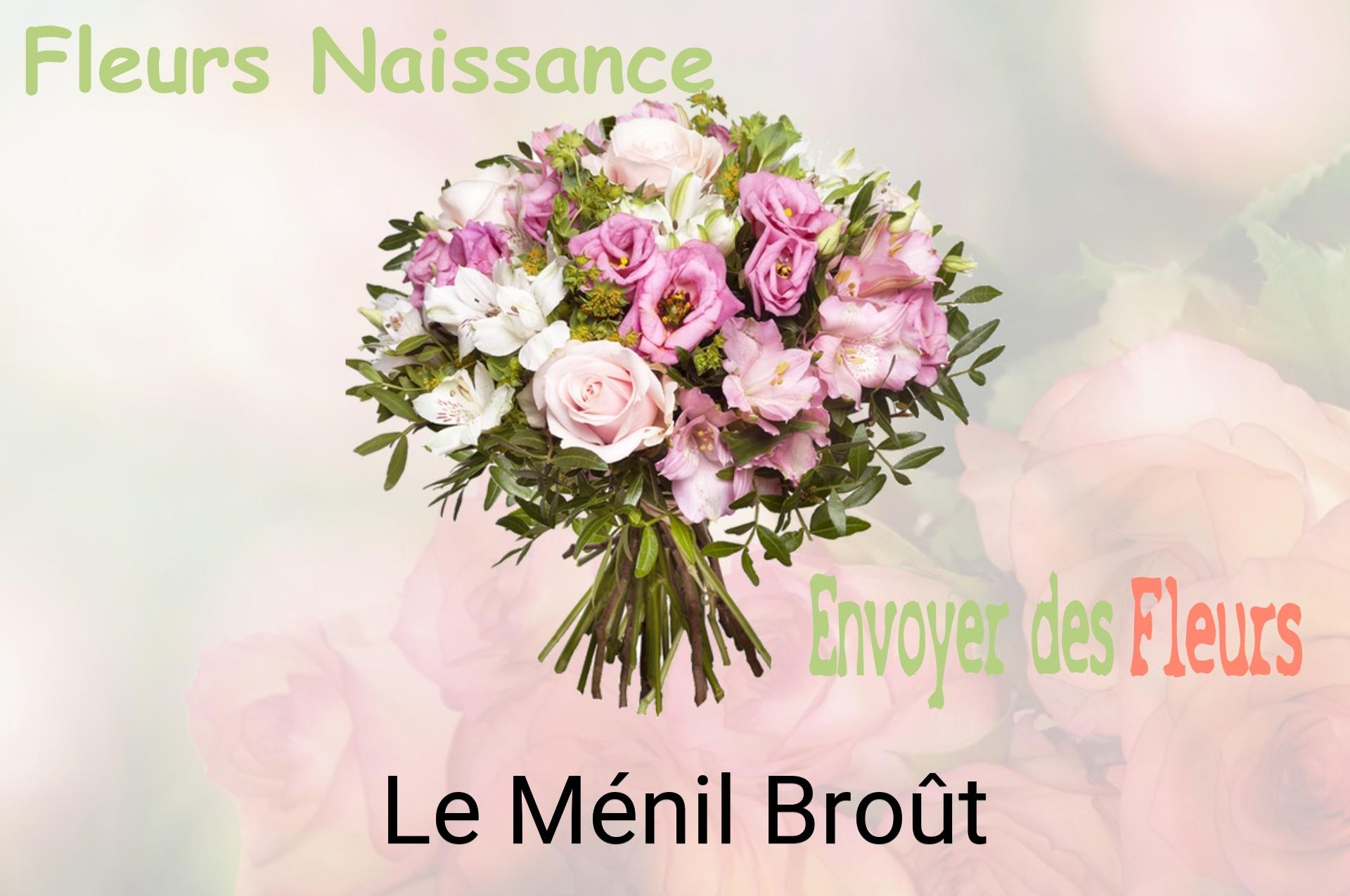 Bouquet de fleurs de naissance livré à Le Ménil-Broût